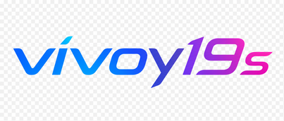 vivoy19s Logo